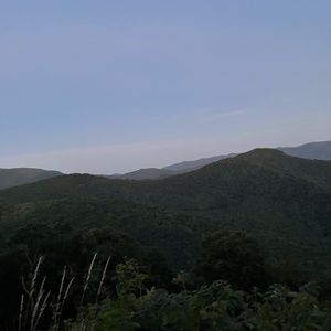 Meet your Posher, Kennedi